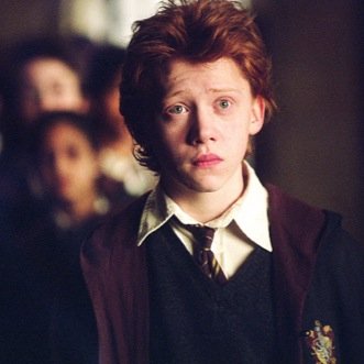 Forever a potterhead ⚯͛ Proud Hufflepuff ♡
⚡️Don't let the muggles get you down.⚡️