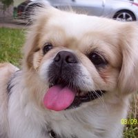 Anthony DeVille (@1972cad1) 's Twitter Profile