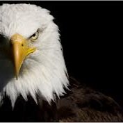 martinsky19's profile picture. 