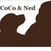CoCo & Ned (@cocoandned) Twitter profile photo CoCo & Ned (@cocoandned) Twitter profile photo