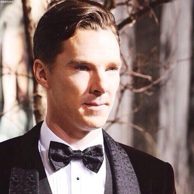 cxmberbatches's profile picture. i don't shave for sherlock holmes
