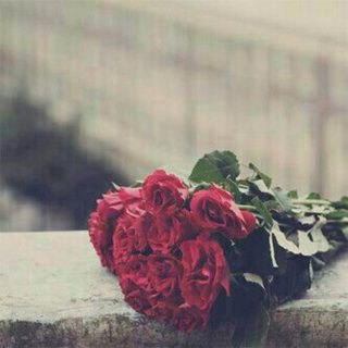 أحبكك وكفى ♡♡