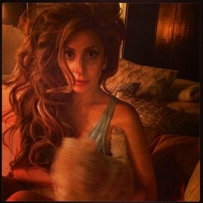 OliviaWatsonLL's profile picture. We need fantasy to survive, because reality is too difficult