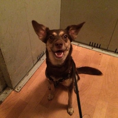 ukr_opka's profile picture. 