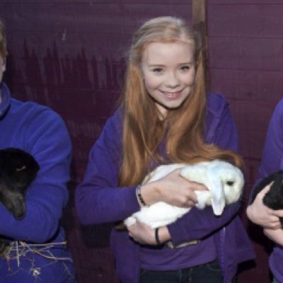Care Assisstant at Fairly Beloved Rabbit Care.