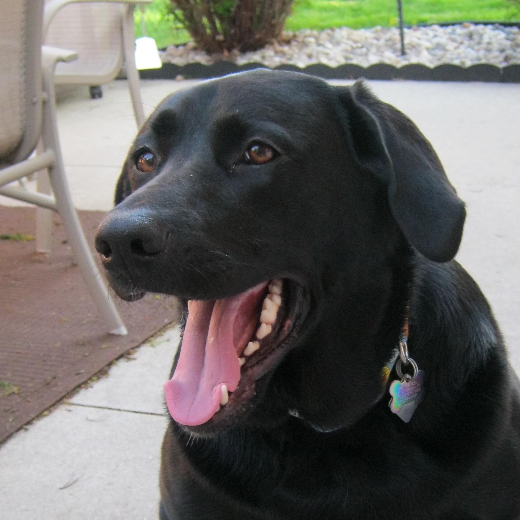 wenzelja's profile picture. 