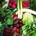 Orcas Food Coop (@orcasfoodcoop) Twitter profile photo