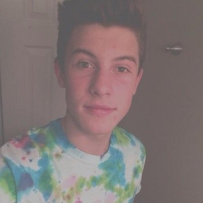 Shawn Peter Raul Mendes is fucking perfect.