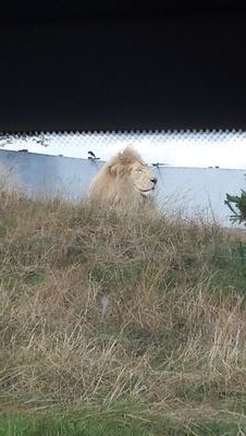 pridmore79's profile picture. 