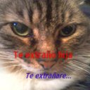 Bernarda castillo - @attachant - Twitter