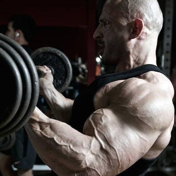 Culturista. Campeón de España IFBB -80kgs. 4º ACE -80kgs. 4º Campeonato del Mundo Junior.  11º Campeonato del Mundo Senior. Mi pasión..¡entrenar y competir!