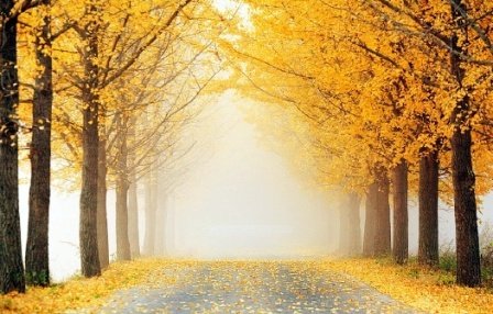 모든 스포츠 좋아하고 즐기며, 서예,바둑,한강 잔차리이딩 즐기며, 특히 쐬주 좋아하는 시니어...