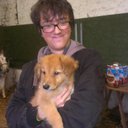 Daniel Kirkham - @DKInuzuka - Twitter