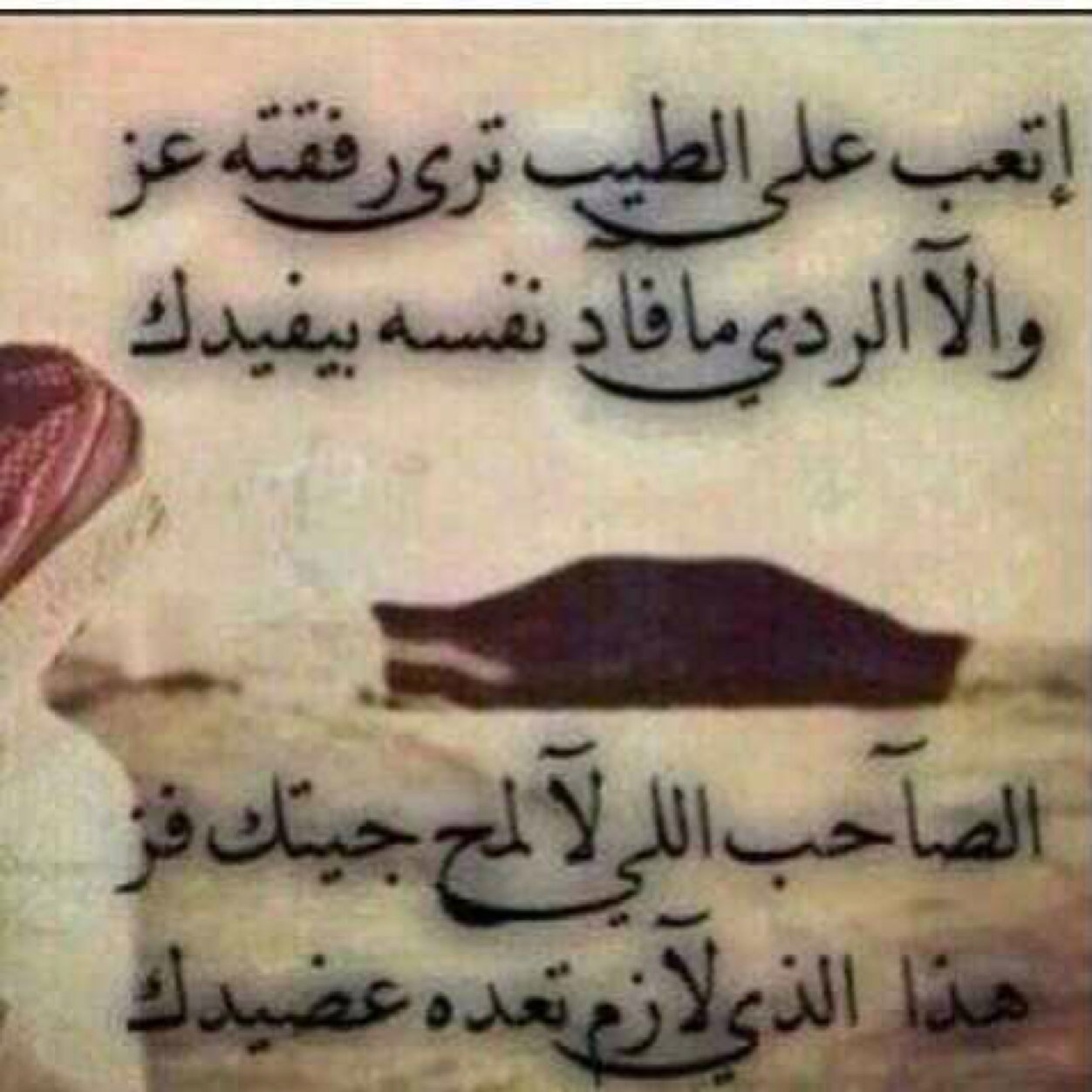 alialqaisi10's profile picture. 