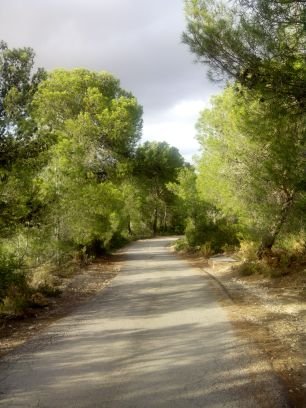 MadamePistache's profile picture. Fruto seco en mis horas libres.