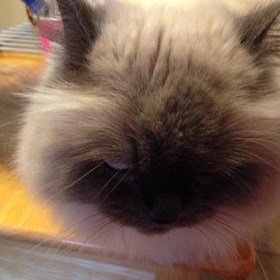 reneeandvince's profile picture. 