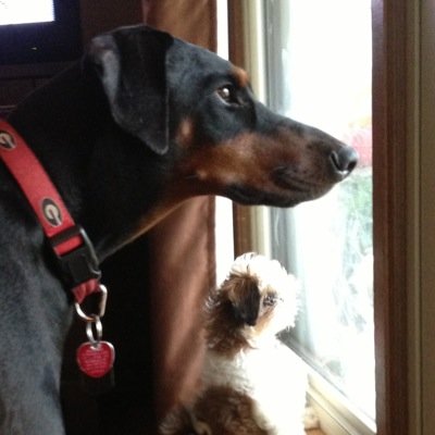 gadawgs48's profile picture. 