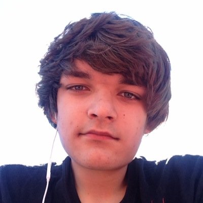 enjoys skateboarding, playing videogames, and listening to music