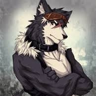 #furry #wolf #RP #pansexual #single names Max, im an assasin and the only thing to make me happier than being at work is being at home mate/GF: none