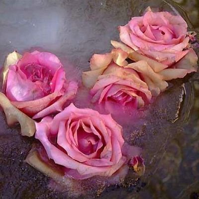 محذوفْ