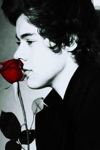 hiiii you gained a follow from @hagarhassan1D , go follow her she follows back just ask ! ♥♥