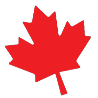 Maple School Year 6 (@mapleschoolyr6) 's Twitter Profile Photo