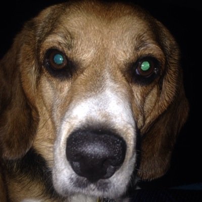 Ezradaddy's profile picture. Loving father and man. I have many talents and I try to enjoy life every day.