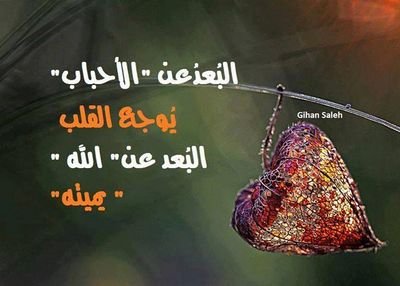 اعمال مقاولات انشاء ردم ورص طرق