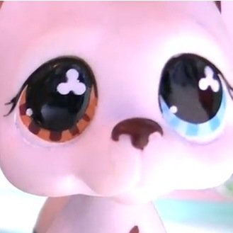 Actor: from lps popular  i really enjoy being in the movie. Follow my boss @Sophiegtv thanks
