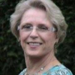 former sr. account manager with leading provider of nonprofit software and services; nonprofit development director; political campaign manager; volunteer.