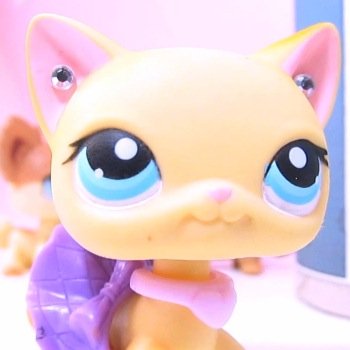 Actor: from the one and only lps popular. Follow our boss @sophiegtv thank you ❤️ brooke
