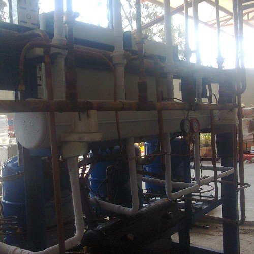 arspina_angel's profile picture. 