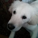 Martha Mathers - @grade8mathers - Twitter