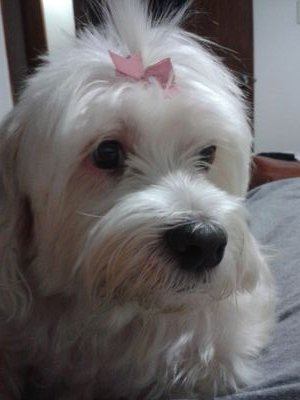 laryssaluna's profile picture. 