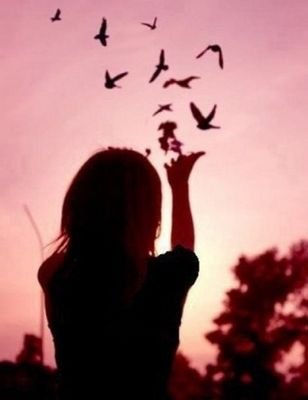 amv8amv's profile picture. 