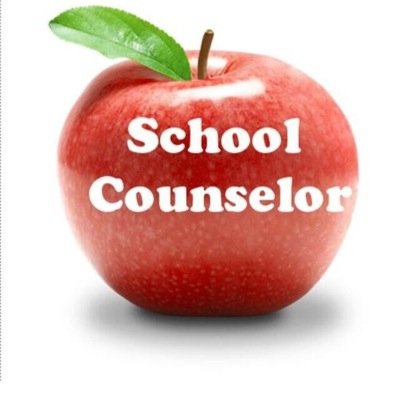 TN High School Counselor