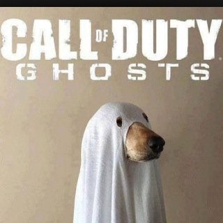 MattPage33's profile picture. 