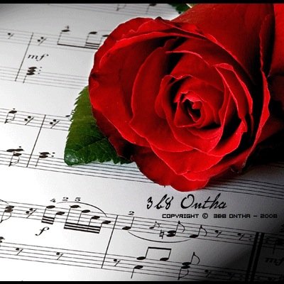 hahaz5733's profile picture. ليس كل ما أكتبه على ورق يكون خارجاً من قلبي أو يمثل شخصية كاتبهـ ربما تكون فلسفهـ فكريهـ نابعه من اللا شعوور .. الخاص مهمل ..