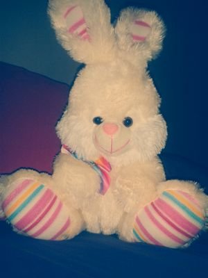 || ♡Soy una conejita de peluche re tierna♡ ||