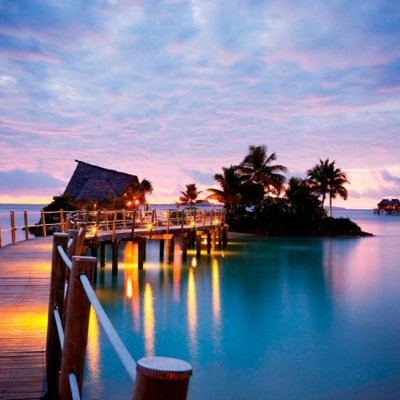 Sometimes celebrities just need to get away; and when they get away, anything can happen and no one will know. What will happen on this island?