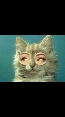 yungquackquack's profile picture. people are always going to judge you, so do what makes you happy!