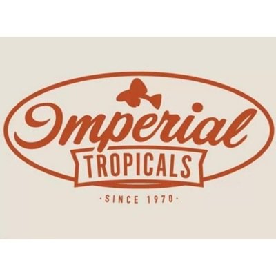 Imperial Tropicals is a family owned and family run tropical fish farm located in Lakeland, FL.