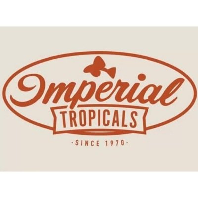 Imperial Tropicals is a family owned and family run tropical fish farm located in Lakeland, FL.