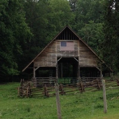 winnieswindow's profile picture. 