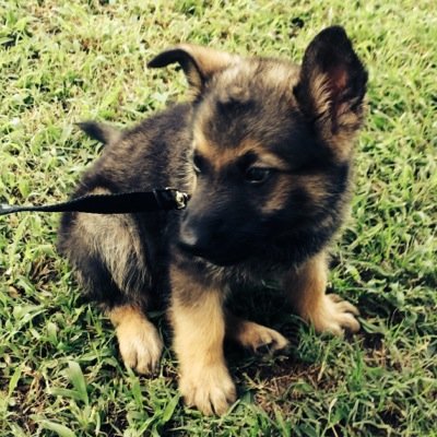 girl_mama13's profile picture. 