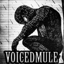 VoicedMule12650 - @BobbySnelling - Twitter