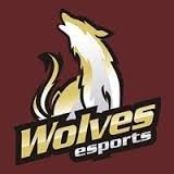 Wolves Esports. Official roster: ?
