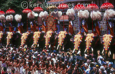 dileepkb66's profile picture. 