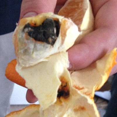 Use this account to document your #Wittfood experience. Not affiliated with SODEXO Food Service or Wittenberg University.
