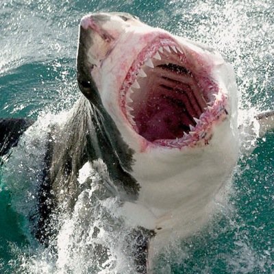 are you scared of the water